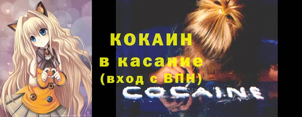 индика Алексеевка