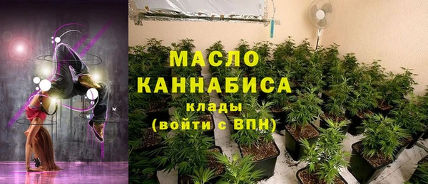 тгк Алзамай
