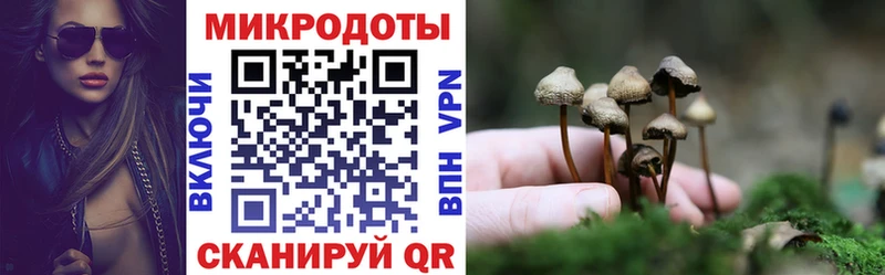 Псилоцибиновые грибы мицелий  Пущино 